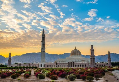 Muscat: Stadens höjdpunkter med valfria transfer