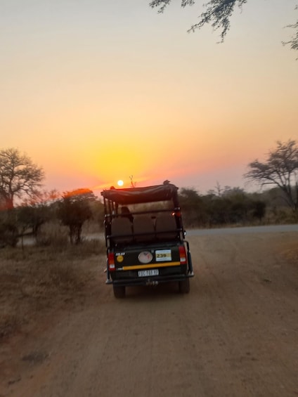 Picture 16 for Activity Kruger National Park: Wildlife-Watching Safari
