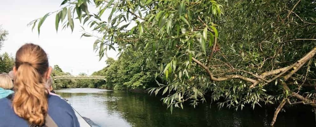 Picture 1 for Activity Gothenburg: Paddan Sightseeing Cruise on the Savean River