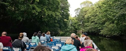Göteborg: Paddan Sightseeing Cruise op de Savean rivier