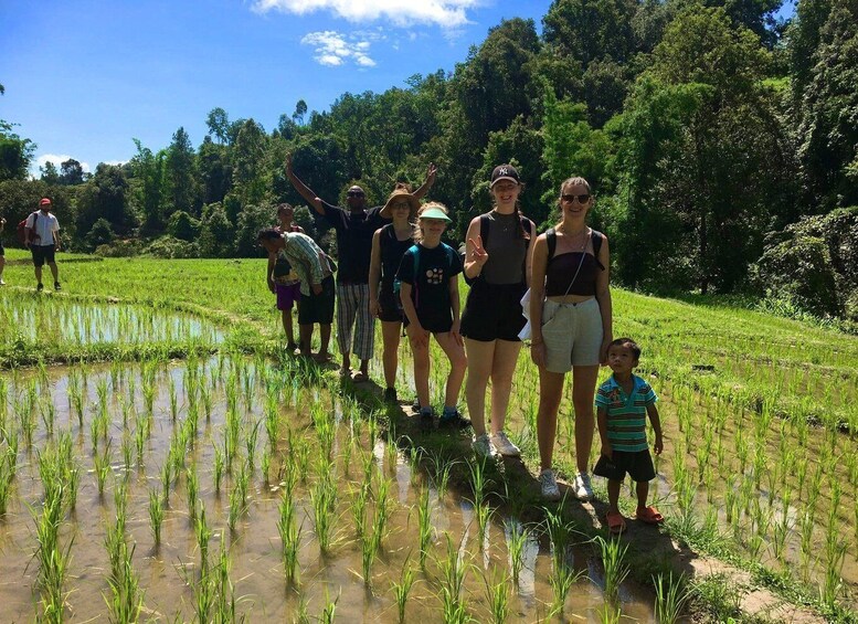 Picture 2 for Activity Chiang Mai: Karen Tribe & Dual Waterfalls - Private Day Trek