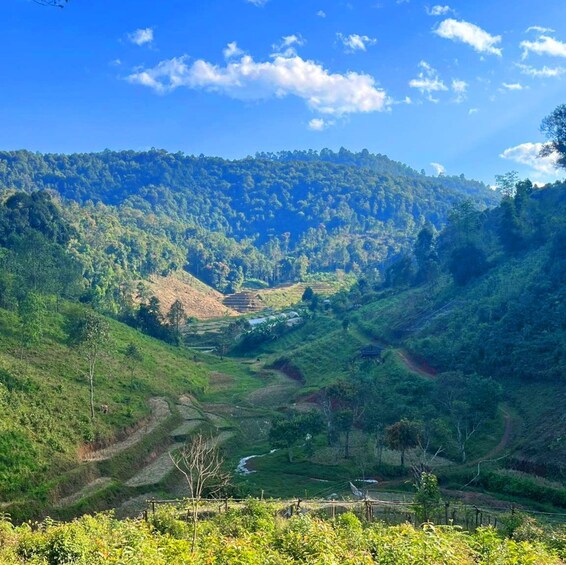 Picture 7 for Activity Chiang Mai: Karen Tribe & Dual Waterfalls - Private Day Trek