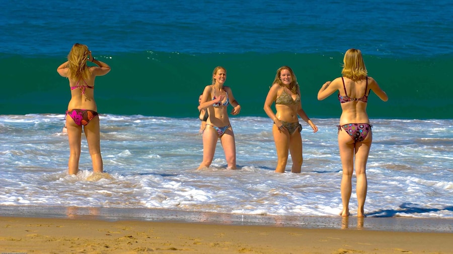Picture 1 for Activity From Paraty: Full Day to Trindade - Nature and Sea