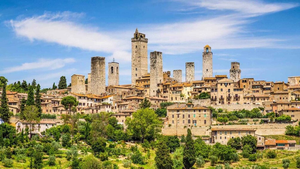 Picture 6 for Activity From Livorno: Siena and San Gimignano Guided Day Trip