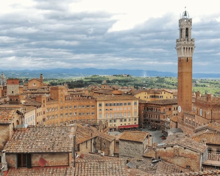 Picture 10 for Activity From Livorno: Siena and San Gimignano Guided Day Trip