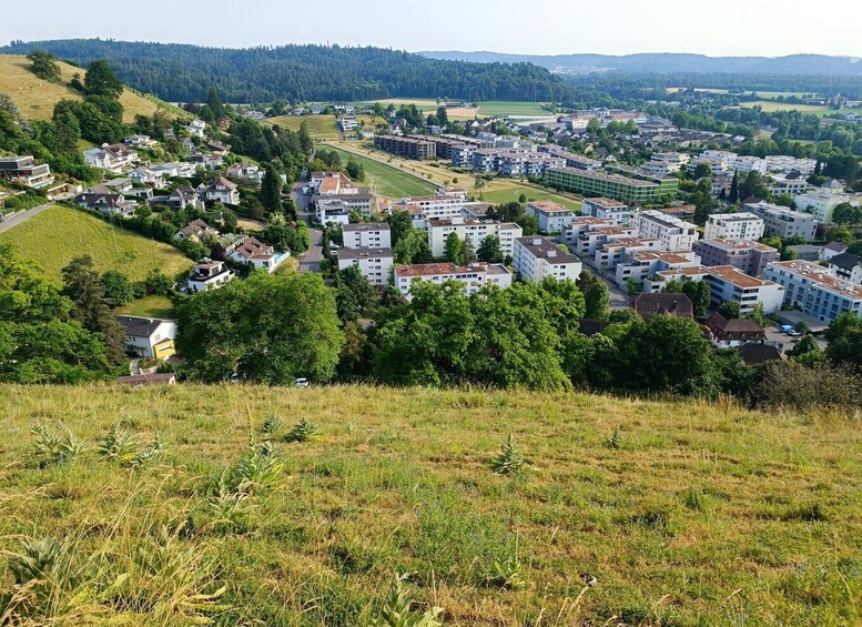 Picture 16 for Activity Lenzburg: Private Walking Tour with a Local Guide