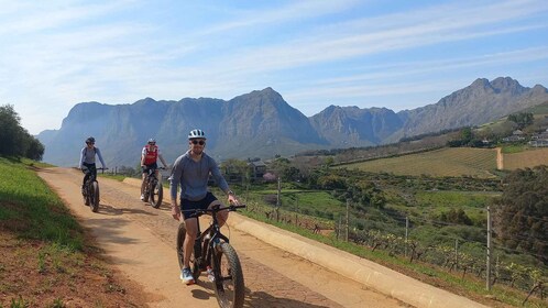 Stellenbosch: recorrido privado en bicicleta eléctrica y vino por Stellenbo...