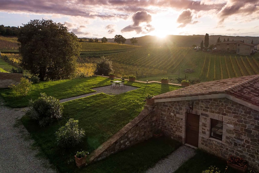 Picture 3 for Activity VIP Private Montalcino Wine Tasting in Paradiso with Dinner