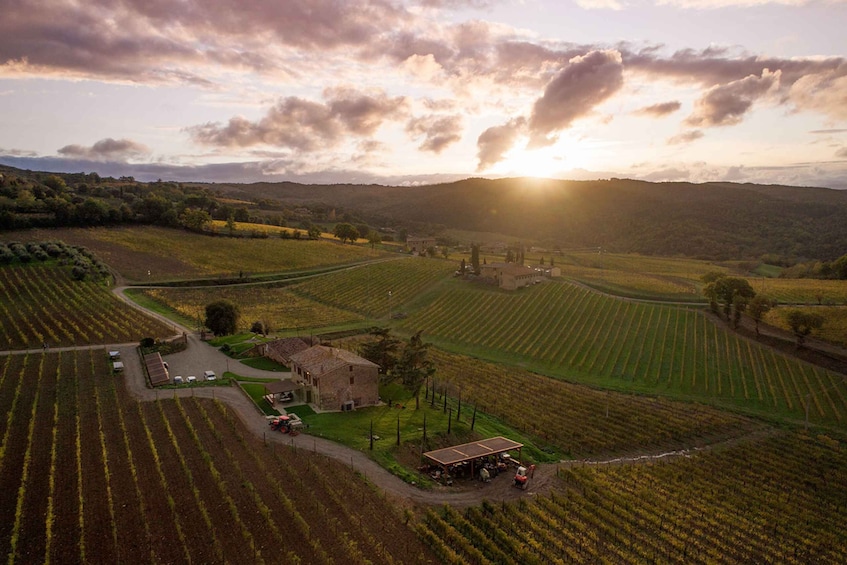 Picture 1 for Activity VIP Private Montalcino Wine Tasting in Paradiso with Dinner