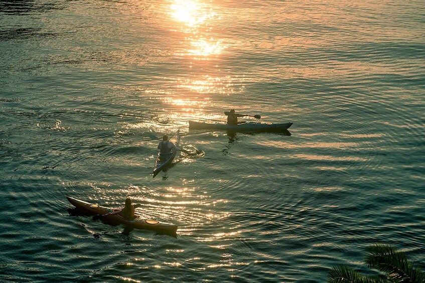 Picture 6 for Activity From Kigali: Lake Kivu Day Trip with Coffee Farm Visit