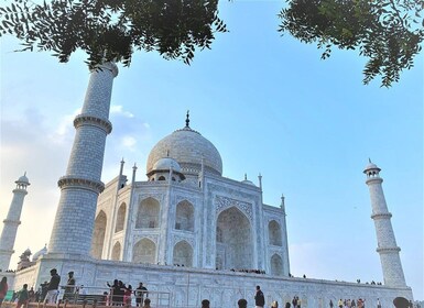 Desde Bombay: recorrido nocturno por el Taj Mahal con vuelo y hotel