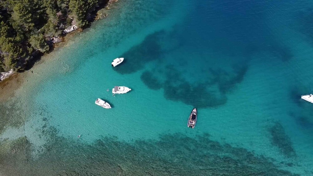 Picture 6 for Activity From Zadar: Ugljan, Galevac and Ošljak Islands Boat Tour