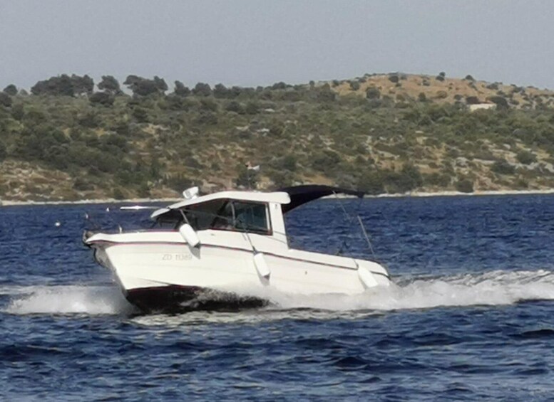 Picture 4 for Activity From Zadar: Ugljan, Galevac and Ošljak Islands Boat Tour