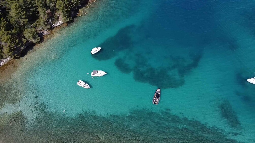 Picture 9 for Activity From Zadar: Ugljan, Galevac and Ošljak Islands Boat Tour