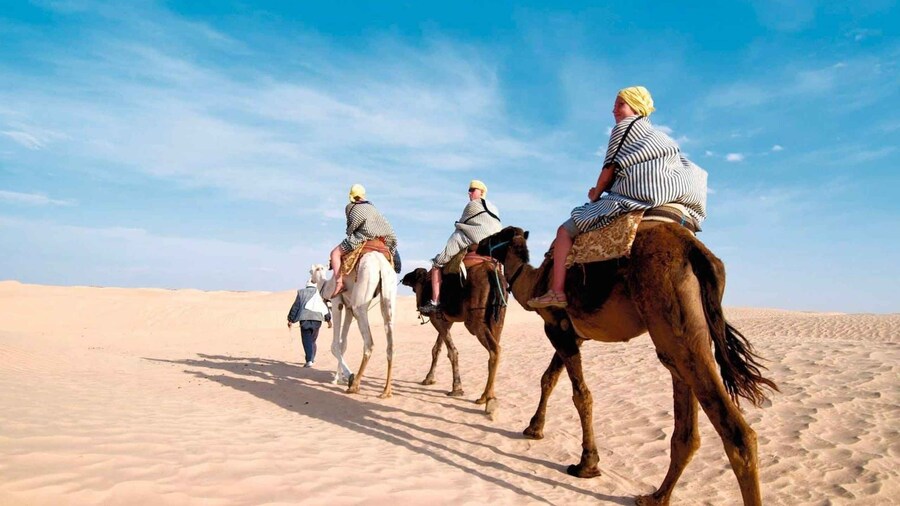 Southern Tunisia Tour with Star Wars Cave Village and Lunch