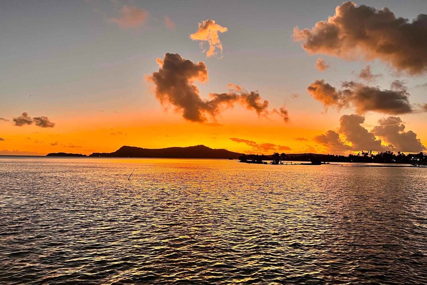 Picture 10 for Activity Bora Bora Private Lagoon Tour on a Prestigious Pontoon Boat