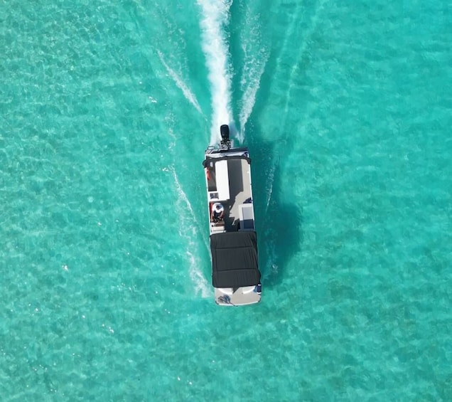 Picture 3 for Activity Bora Bora Private Lagoon Tour on a Prestigious Pontoon Boat