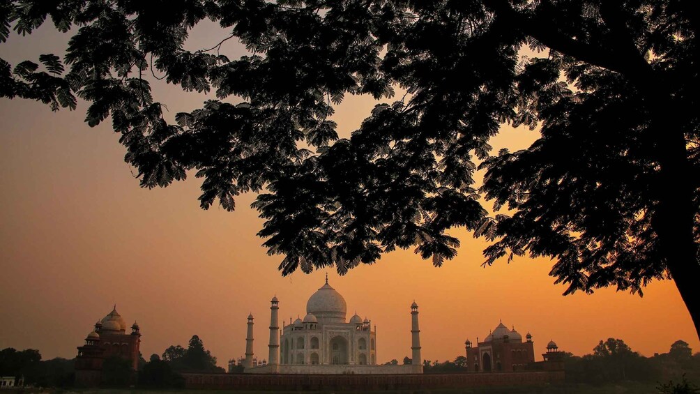 Picture 5 for Activity From Delhi: 4-Day Golden Triangle & Ranthambore Guided Tour