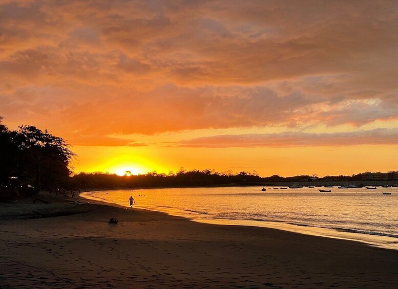 Picture 11 for Activity Costa Rica: Guided Sunset & Snorkelling Charter