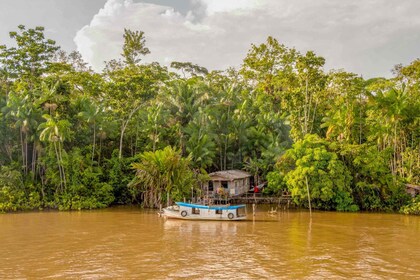 Manaus: 2, 3 oder 4-tägige Amazonas-Dschungeltour in der Anaconda Lodge