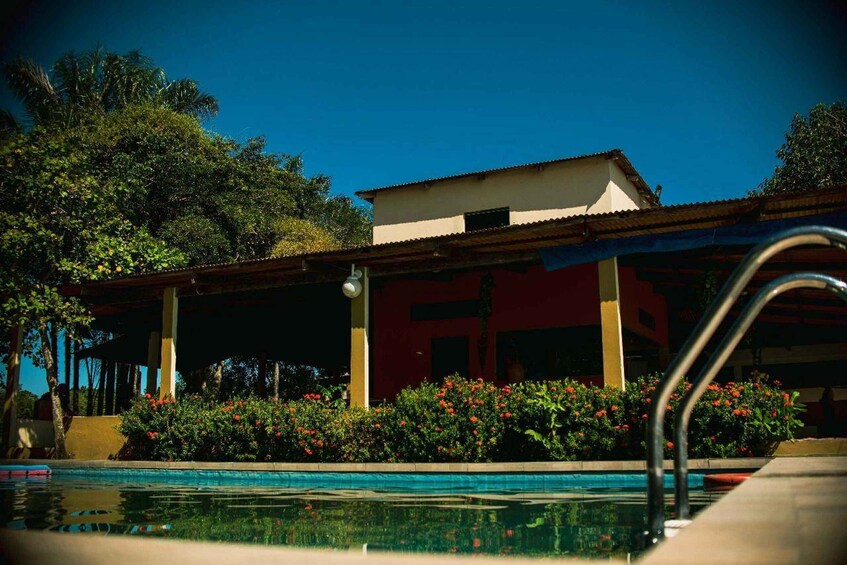 Picture 18 for Activity Manaus: 2, 3 or 4-Day Amazon Jungle Tour in Anaconda Lodge