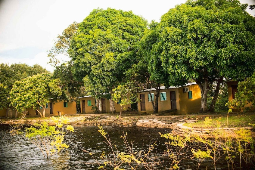 Picture 15 for Activity Manaus: 2, 3 or 4-Day Amazon Jungle Tour in Anaconda Lodge