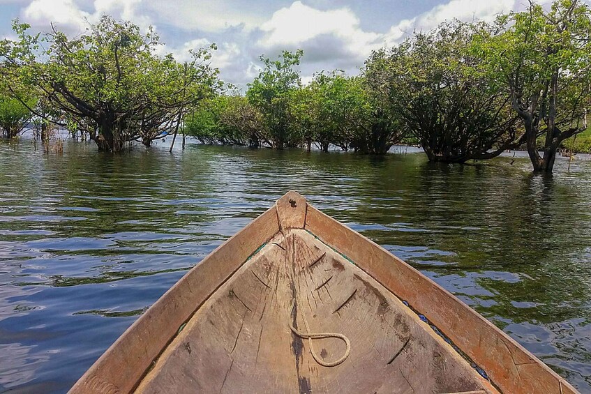 Picture 6 for Activity Manaus: 2, 3 or 4-Day Amazon Jungle Tour in Anaconda Lodge