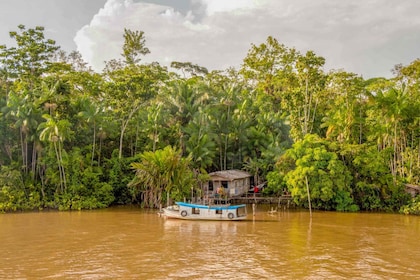 Manaus: Tour della giungla amazzonica di 2, 3 o 4 giorni in Anaconda Lodge