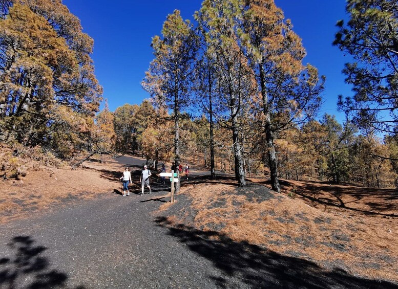 Picture 2 for Activity La Palma: Guided Tour to Tajogaite Volcano with Transfer