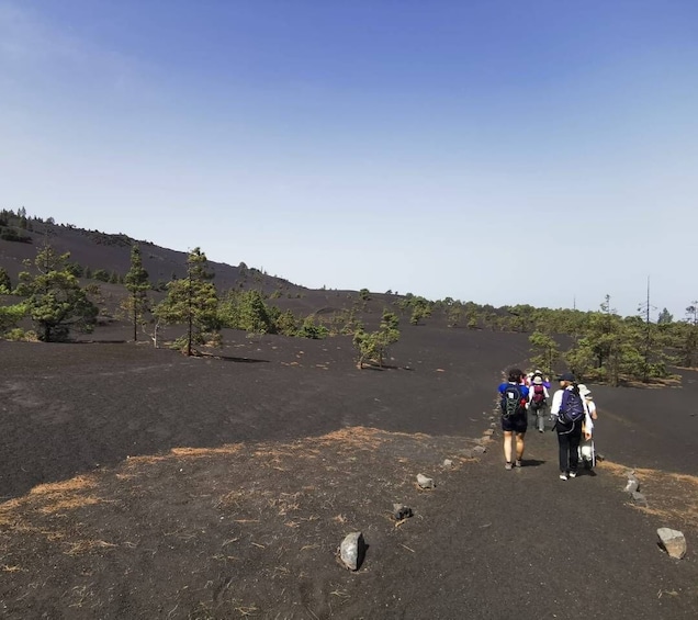 Picture 1 for Activity La Palma: Guided Tour to Tajogaite Volcano with Transfer