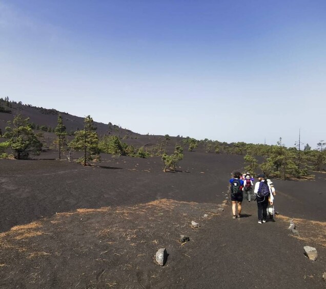 Picture 1 for Activity La Palma: Guided Tour to Tajogaite Volcano with Transfer