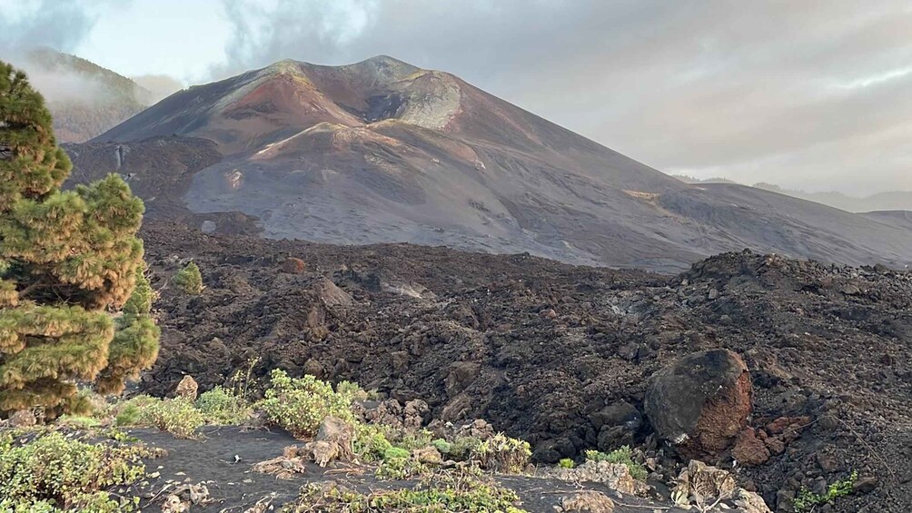 Picture 3 for Activity La Palma: Guided Tour to Tajogaite Volcano with Transfer