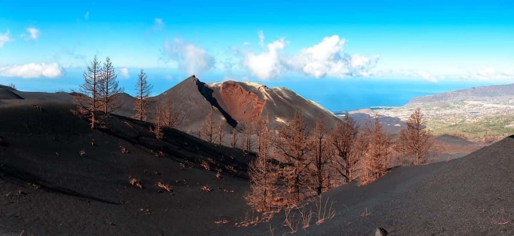 Picture 5 for Activity La Palma: Guided Tour to Tajogaite Volcano with Transfer