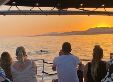 Fuengirola: Sunset Boat Tour with a Drink