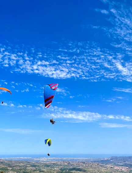 Picture 5 for Activity Alicante: Santa Pola, Benidorm Tandem Paragliding Experience