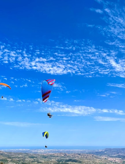 Picture 5 for Activity Alicante: Santa Pola, Benidorm Tandem Paragliding Experience
