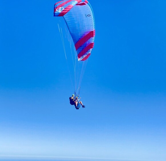 Picture 3 for Activity Alicante: Santa Pola, Benidorm Tandem Paragliding Experience