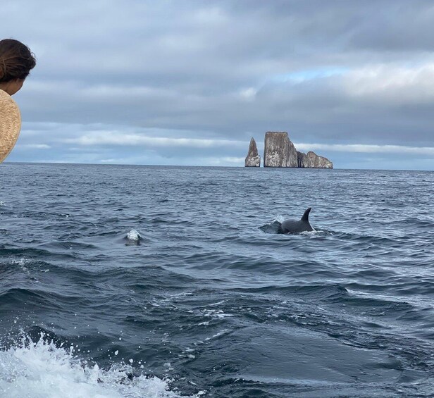 Picture 4 for Activity Kicker rock full day