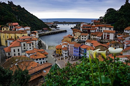 Cudillero: Guided Day Trip of the Cantabrian Coastline