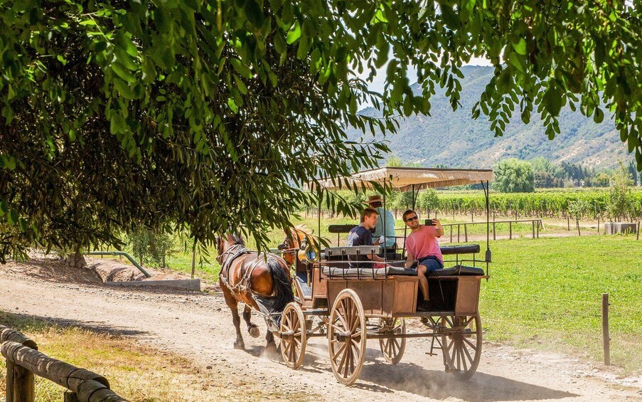 Picture 4 for Activity From Santiago: Private Colchagua Valley Wine Tour w/ Tasting