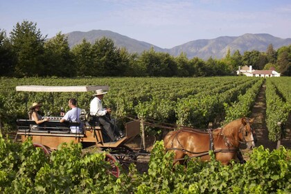 Desde Santiago: tour privado de vinos por el valle de Colchagua con degusta...