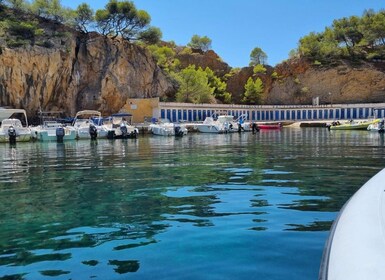 Marseille : Bateau du Parc Marin des Calanques Côte Bleue croisière