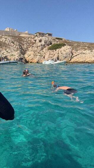 Picture 12 for Activity Marseille: Calanques Côte Bleue Marine Park Boat Cruise