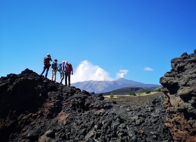 埃特纳火山徒步前往 2002 年喷发的火山口