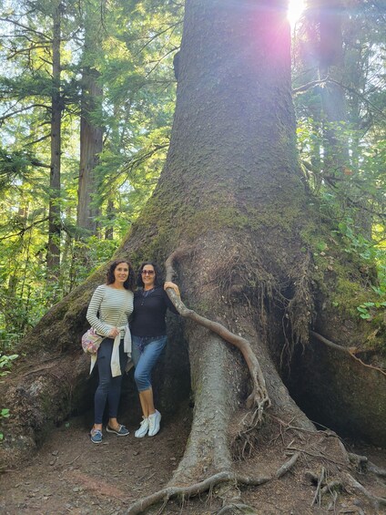 Picture 3 for Activity From Portland: Oregon Coast Adventure Day Tour with Pickup