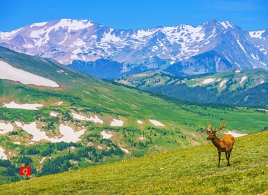 Rocky Mountain NP : Visite guidée des pics pittoresques autoguidés