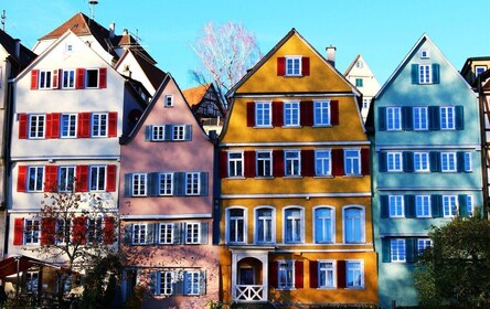 Tübingen: Private geführte Tour zu Fuß