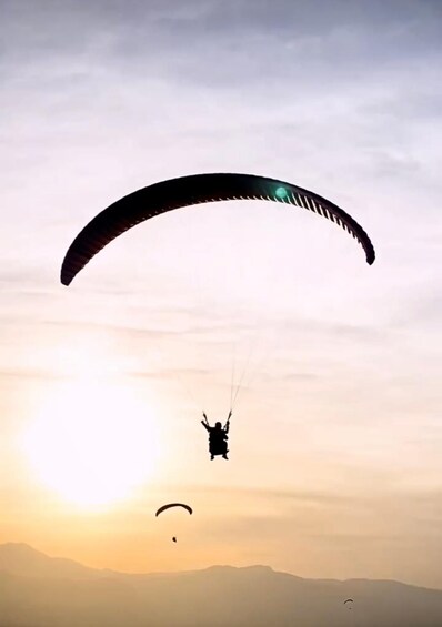 Picture 11 for Activity Marrakech: Atlas Mountains Paraglide and Camel Ride Day Trip