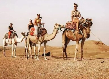 Marrakech Paralayang, Menunggang Unta & Perjalanan ke Desa Berber