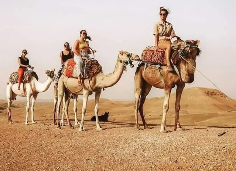 Picture 2 for Activity Marrakech: Atlas Mountains Paraglide and Camel Ride Day Trip